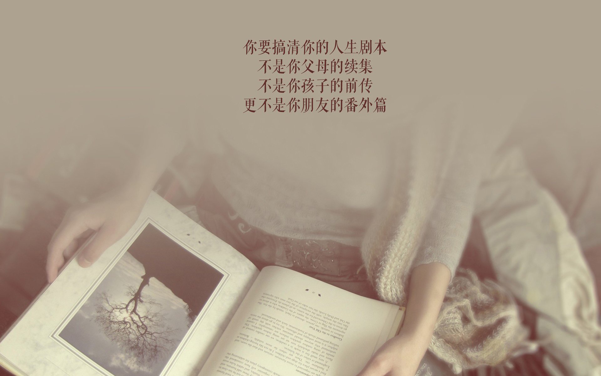 体育赛事安全管理体系建设，体育赛事安全管理体系建设包括