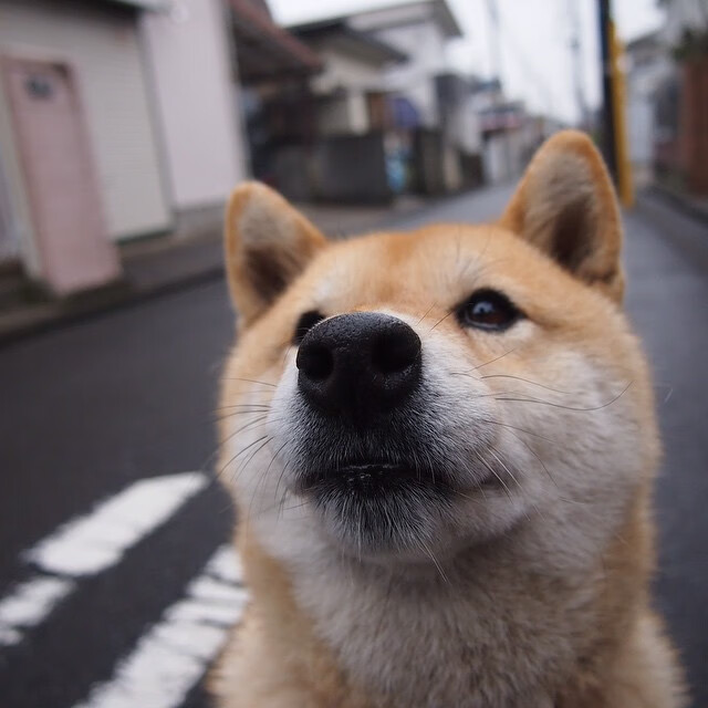 体育新闻中心推动体育赛事版权保护法律法规完善,体育赛事版权如何保护