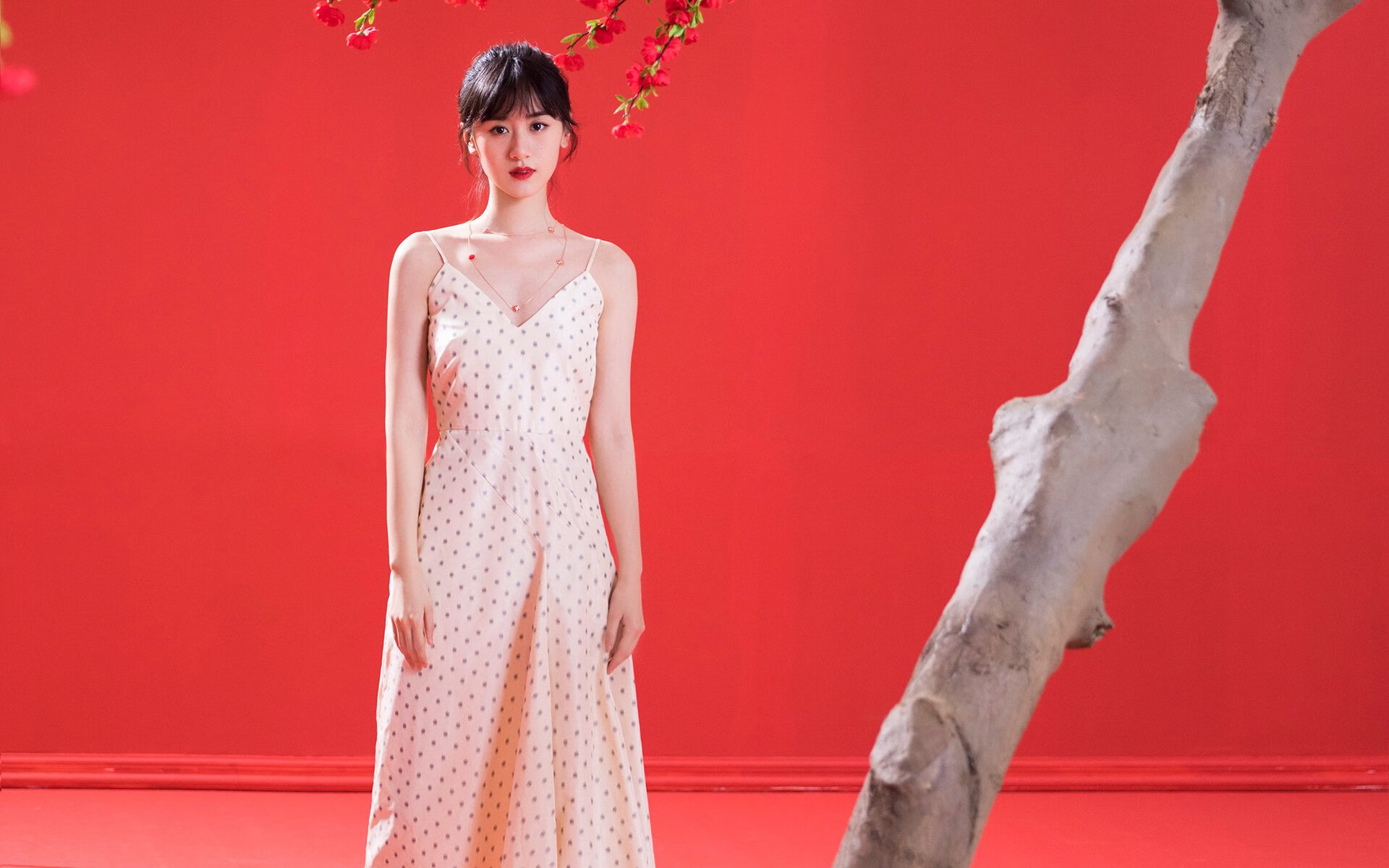 国家队备战缺少科学训练方案,国家队备战缺少科学训练方案是什么