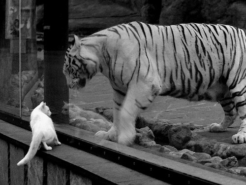 AYX体育官网-热刺锋线频繁换位造成混乱局面，热刺巅峰阵容