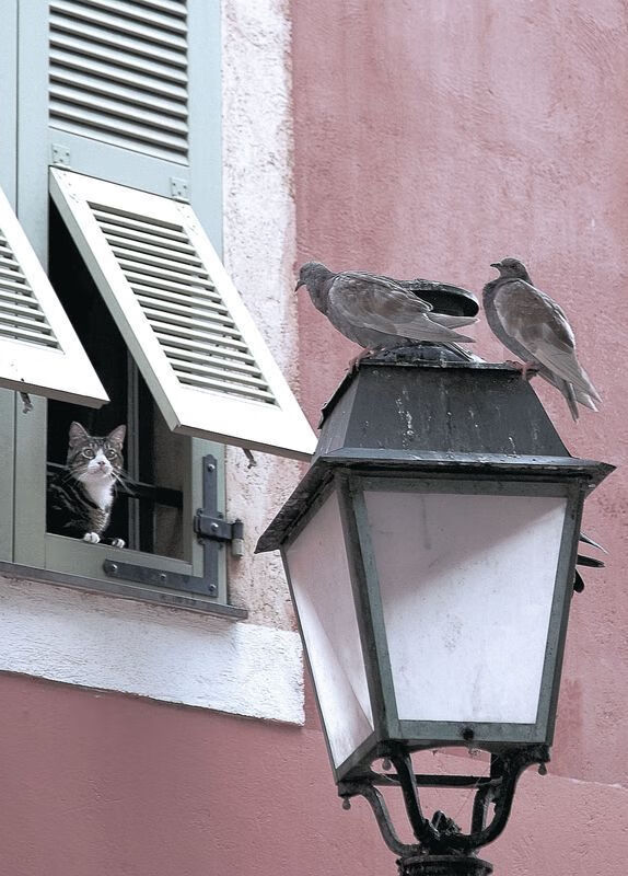 节奏波动是否是判断比赛走势的有效信号,节奏的时值怎么计算