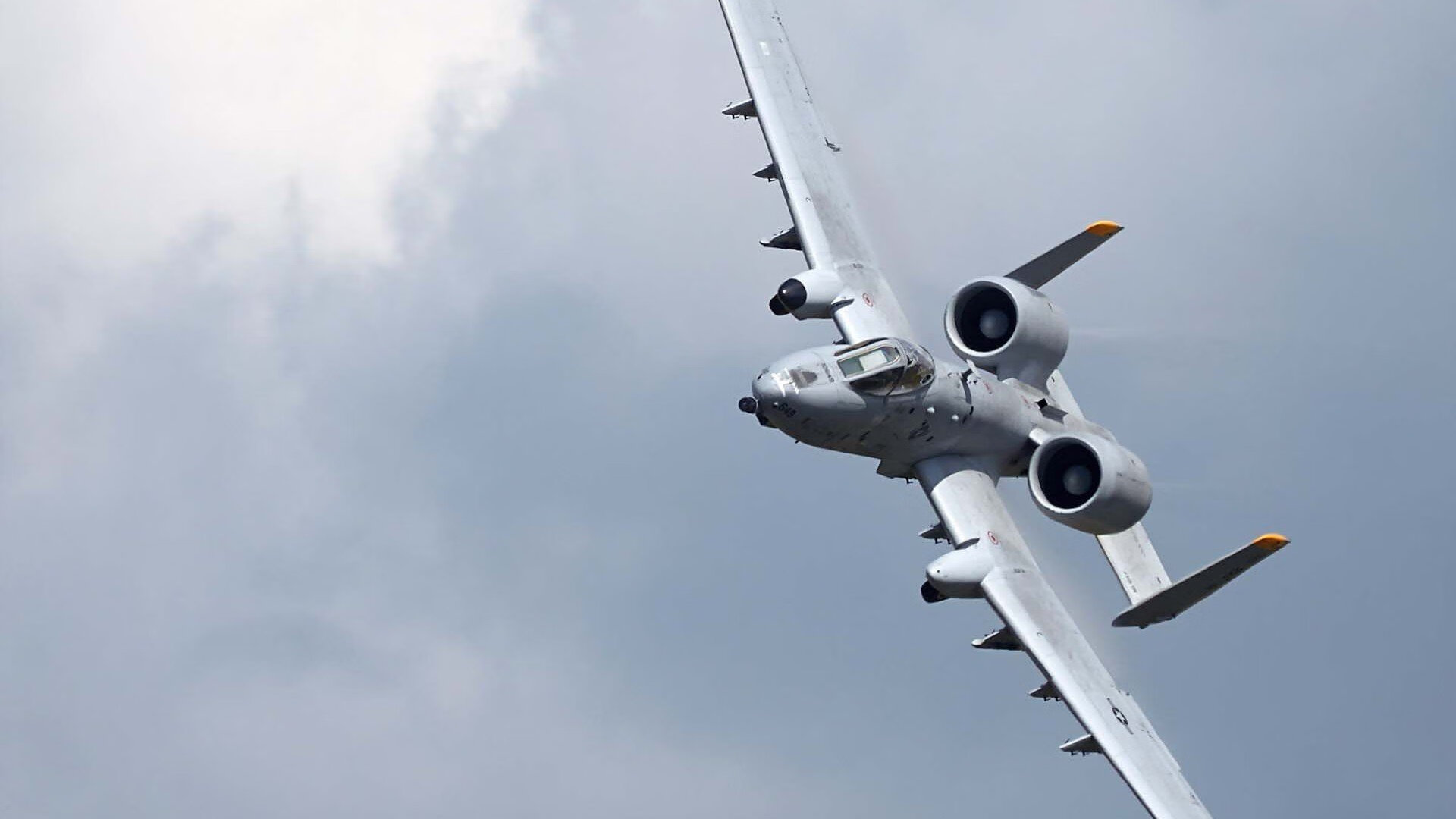 “马丁·高尔西成为美洲狮队防线的中流砥柱,展现强大领导力”