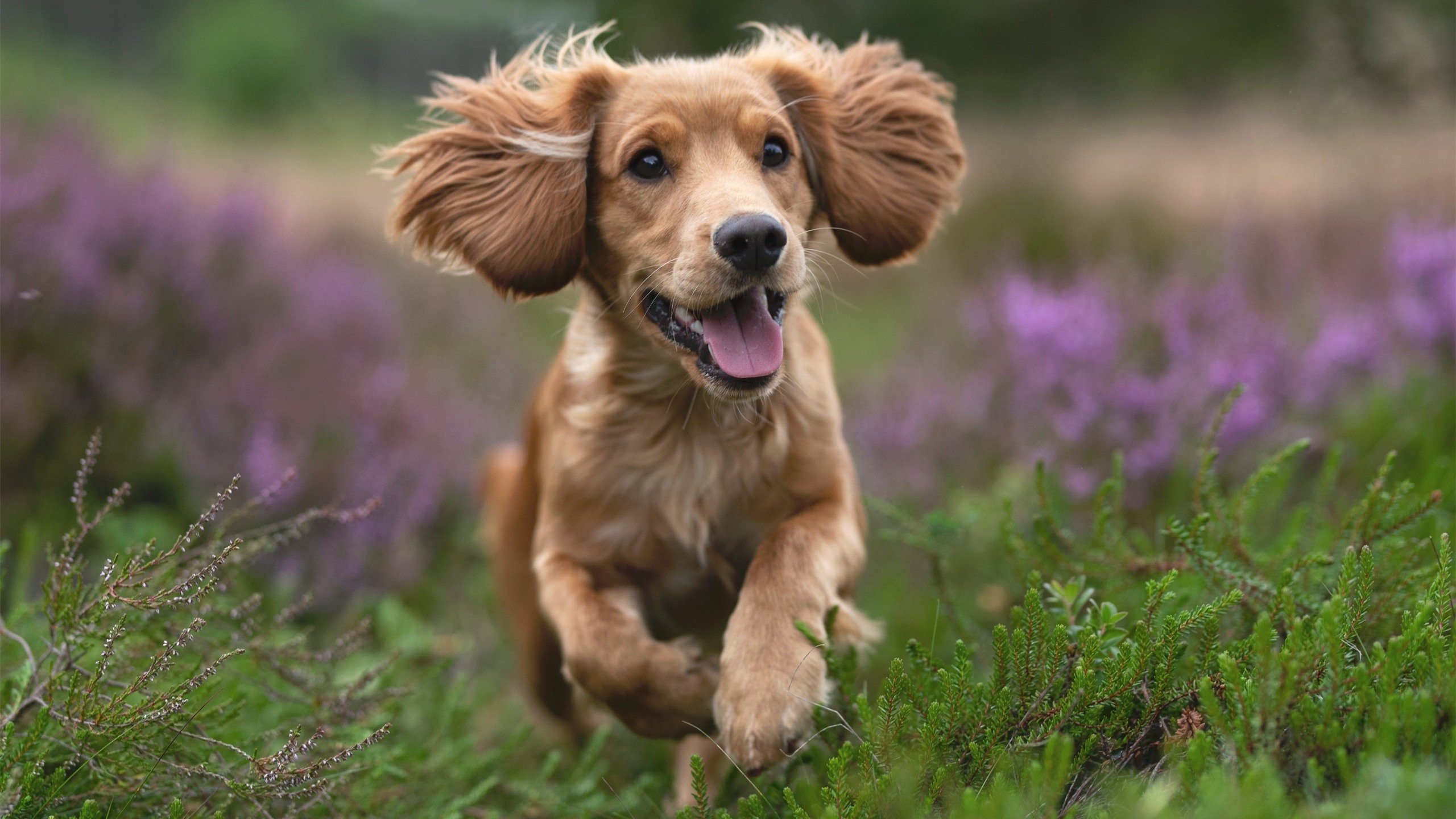 中立代表队B队员默契配合助力冲线