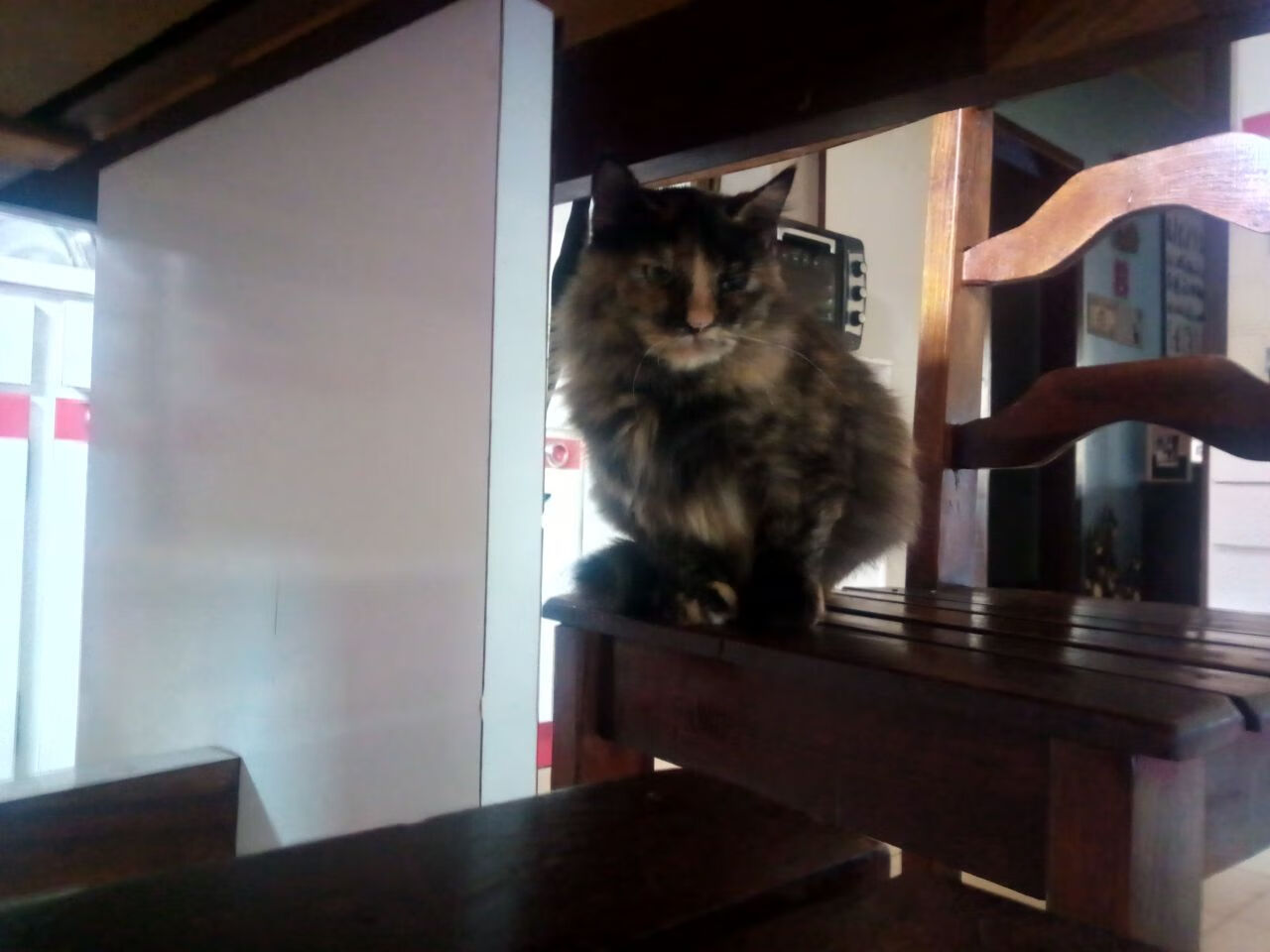 AYX GAMING-体育新闻中心整理发布世界大赛积分排名系统，世界大赛包括