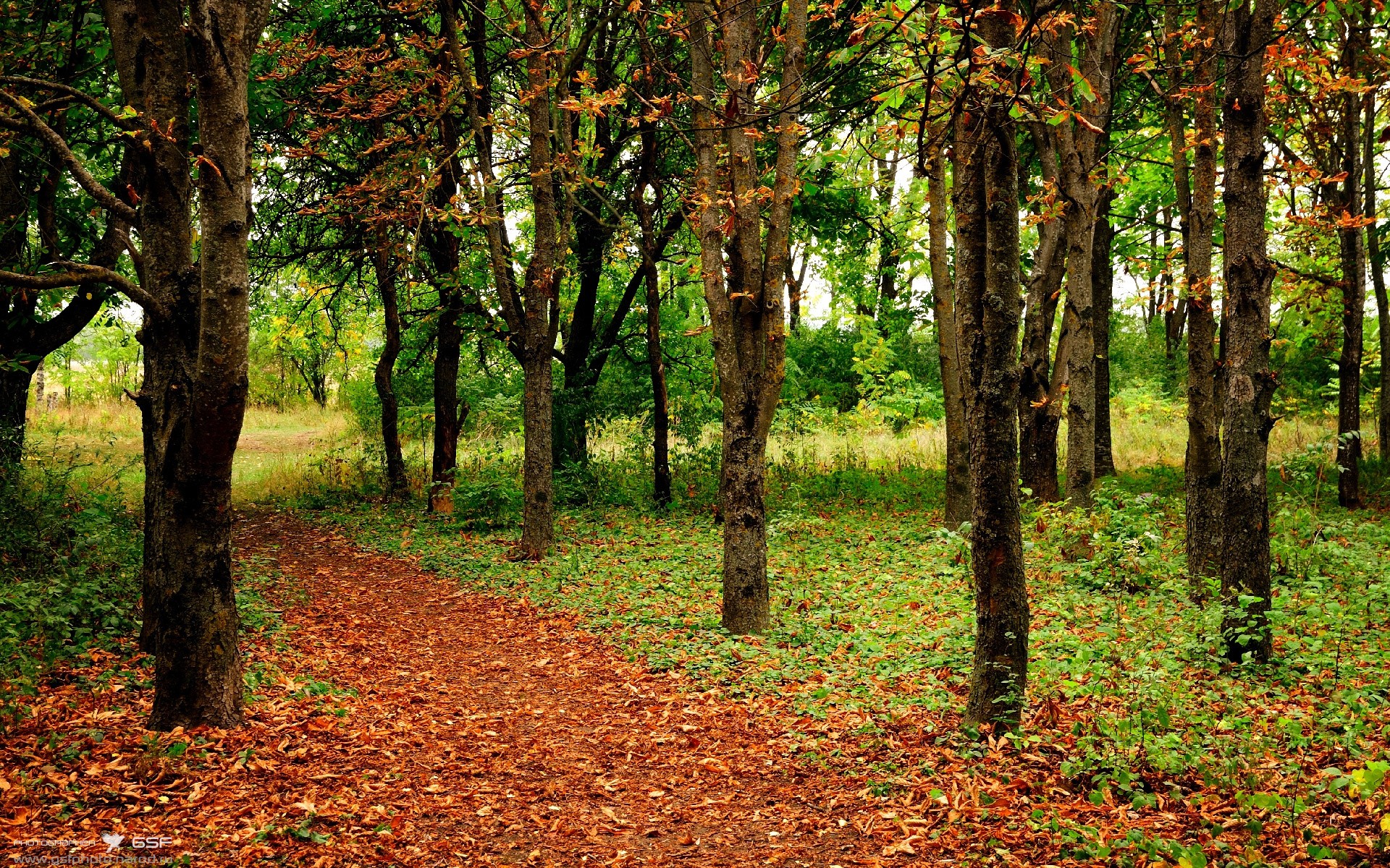 克莱尔稳扎稳打 展现自由泳长项实力,克莱尔jmb