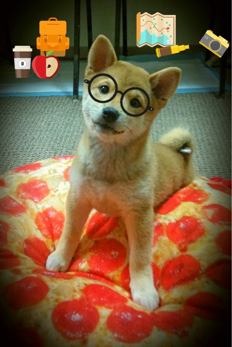 杰克·阿莱克西完美入水点燃现场氛围,杰克莱斯