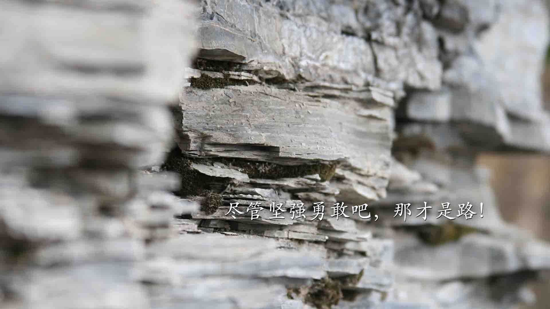 爱游戏体育（AYX）官方APP下载-爱尔兰男队伤病问题考验备战进度，爱尔兰男子