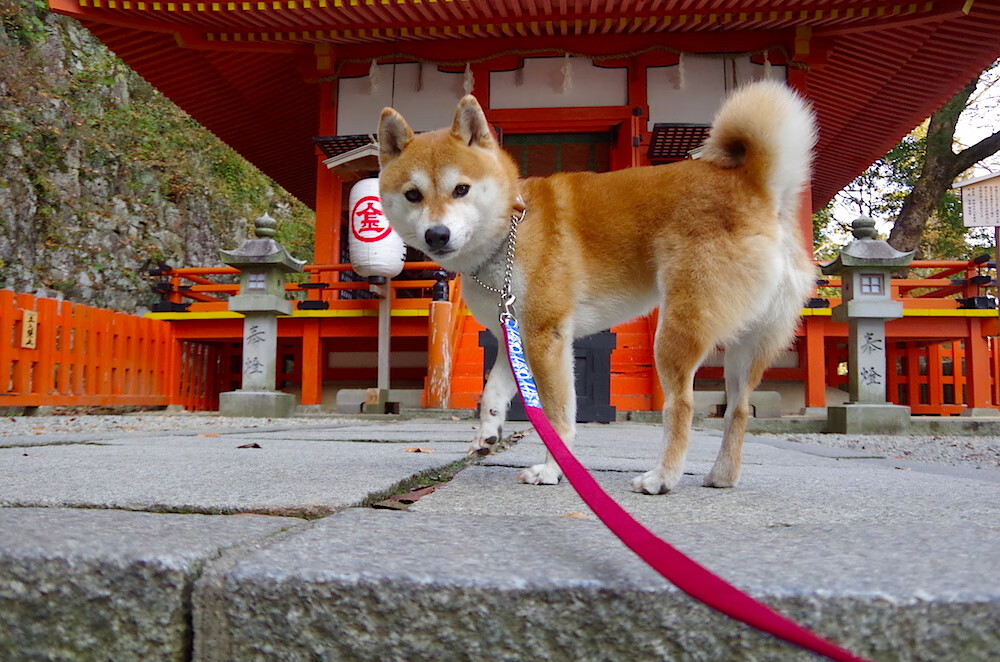 爱游戏在线登录入口-篮球漫画创作比赛落幕优秀作品展现浓厚篮球文化底蕴，篮球漫画形象